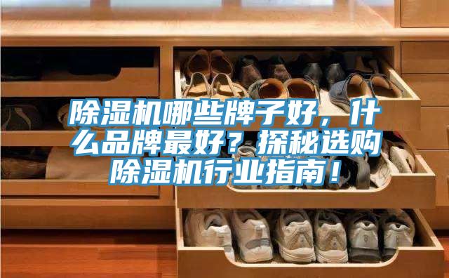 除濕機(jī)哪些牌子好，什么品牌最好？探秘選購除濕機(jī)行業(yè)指南！