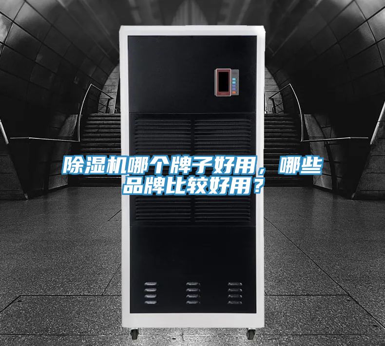 除濕機(jī)哪個牌子好用，哪些品牌比較好用？
