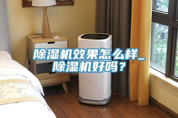 除濕機效果怎么樣_除濕機好嗎？