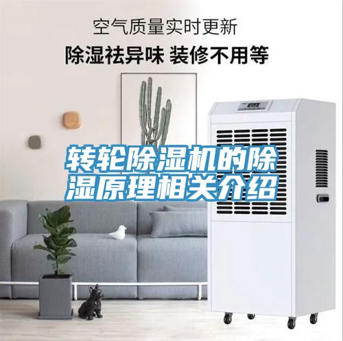 轉(zhuǎn)輪除濕機的除濕原理相關介紹
