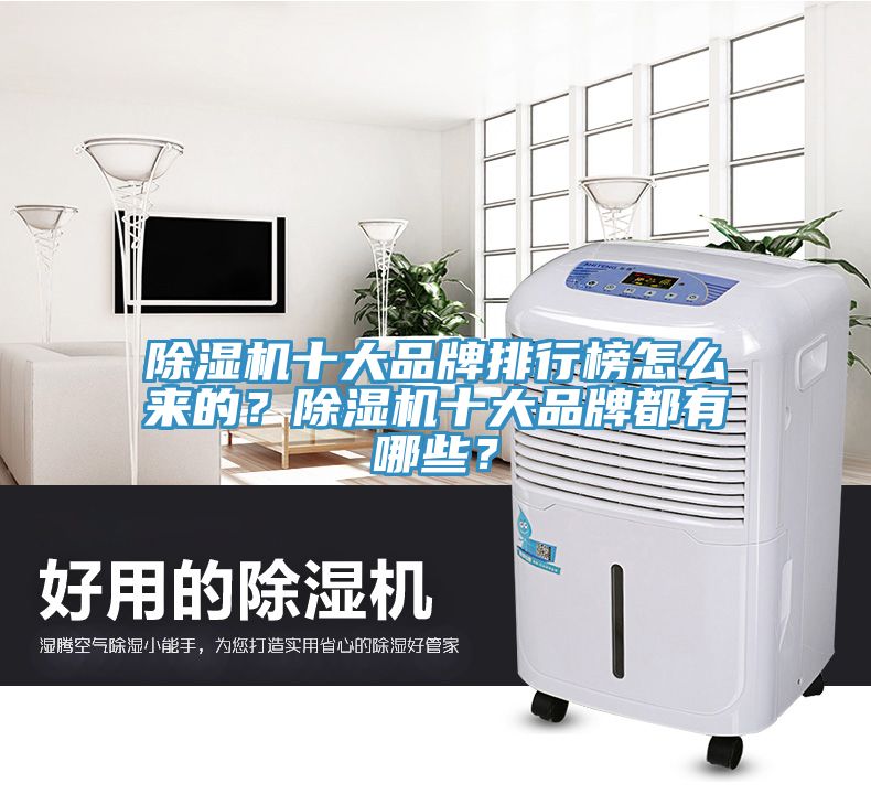 除濕機(jī)十大品牌排行榜怎么來的？除濕機(jī)十大品牌都有哪些？