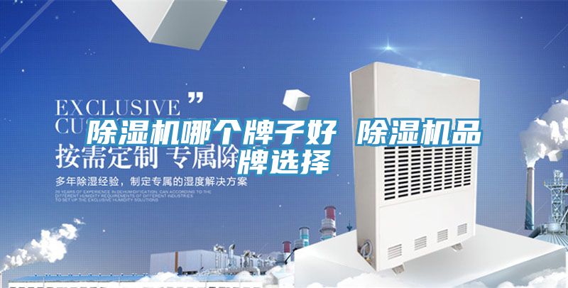 除濕機(jī)哪個牌子好 除濕機(jī)品牌選擇