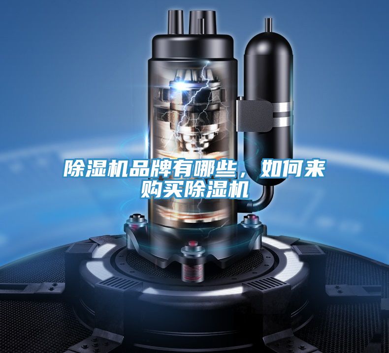 除濕機(jī)品牌有哪些，如何來(lái)購(gòu)買除濕機(jī)