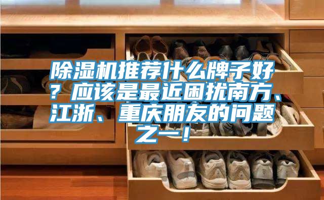 除濕機(jī)推薦什么牌子好？應(yīng)該是最近困擾南方、江浙、重慶朋友的問題之一！