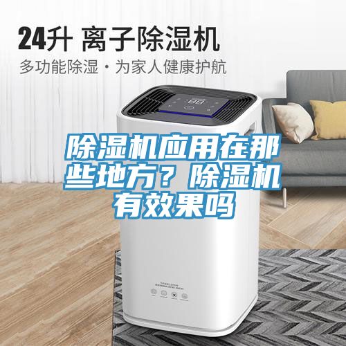 除濕機應用在那些地方？除濕機有效果嗎