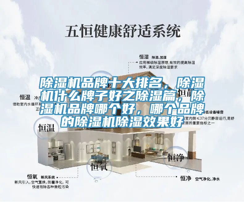除濕機(jī)品牌十大排名，除濕機(jī)什么牌子好之除濕篇，除濕機(jī)品牌哪個(gè)好，哪個(gè)品牌的除濕機(jī)除濕效果好