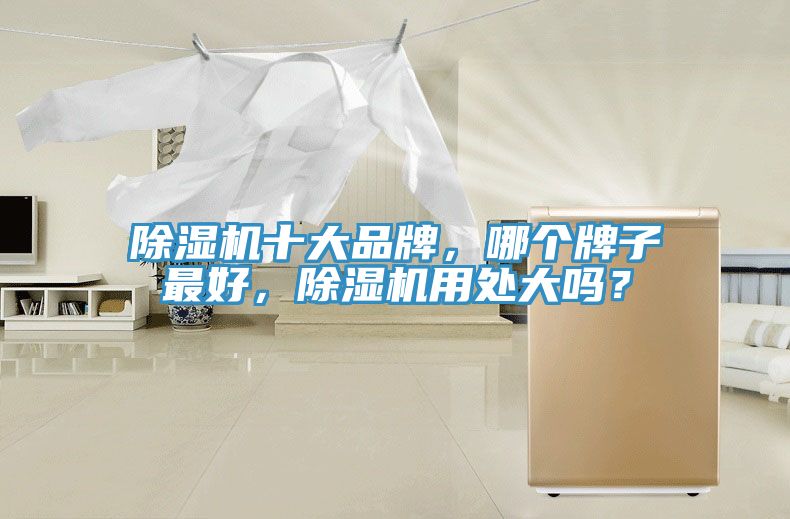 除濕機(jī)十大品牌，哪個牌子最好，除濕機(jī)用處大嗎？