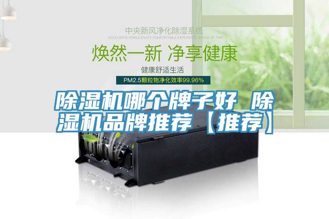 除濕機(jī)哪個牌子好 除濕機(jī)品牌推薦【推薦】