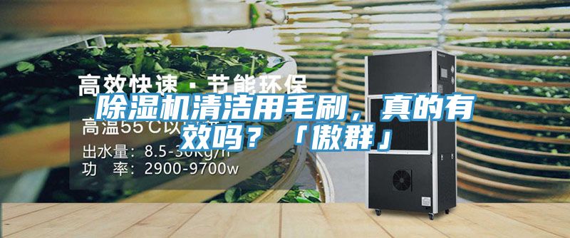 除濕機(jī)清潔用毛刷，真的有效嗎？「傲群」