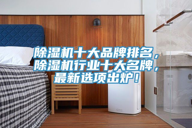 除濕機(jī)十大品牌排名，除濕機(jī)行業(yè)十大名牌，最新選項(xiàng)出爐！