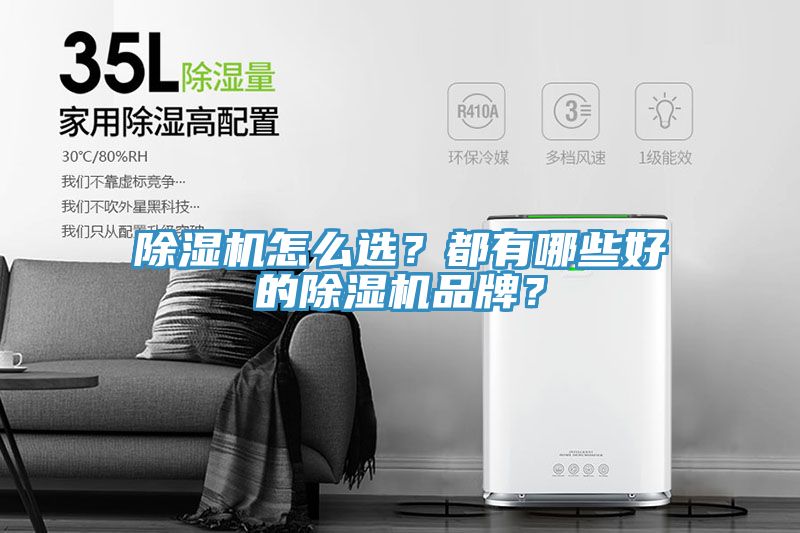 除濕機(jī)怎么選？都有哪些好的除濕機(jī)品牌？