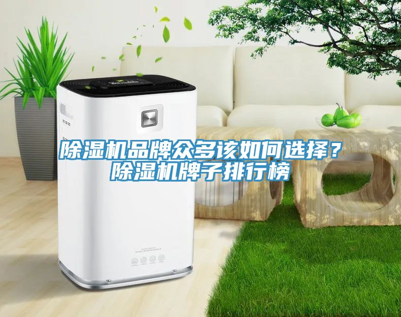 除濕機(jī)品牌眾多該如何選擇？除濕機(jī)牌子排行榜