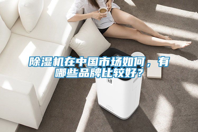 除濕機(jī)在中國市場如何，有哪些品牌比較好？
