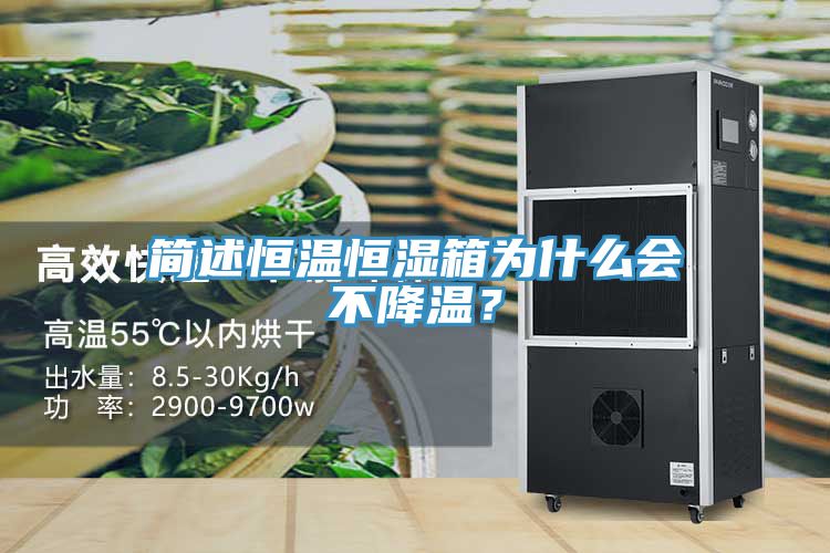 簡述恒溫恒濕箱為什么會不降溫？