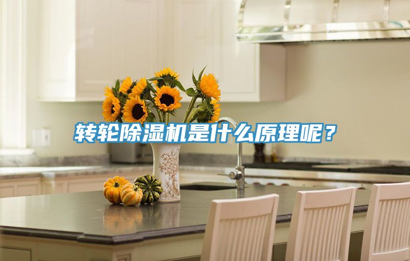 轉(zhuǎn)輪除濕機(jī)是什么原理呢？