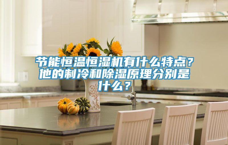 節(jié)能恒溫恒濕機有什么特點？他的制冷和除濕原理分別是什么？