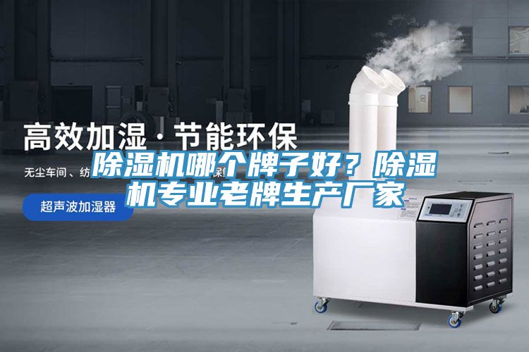 除濕機(jī)哪個(gè)牌子好？除濕機(jī)專業(yè)老牌生產(chǎn)廠家