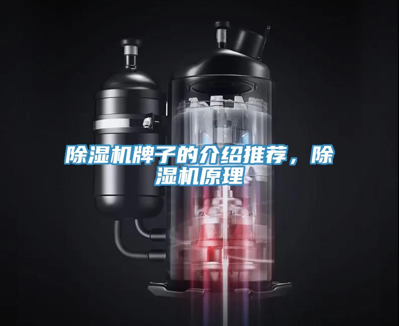 除濕機牌子的介紹推薦，除濕機原理