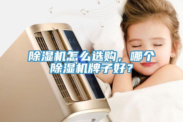 除濕機(jī)怎么選購，哪個(gè)除濕機(jī)牌子好？