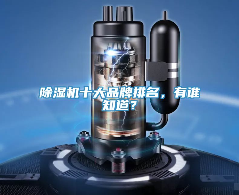 除濕機(jī)十大品牌排名，有誰知道？