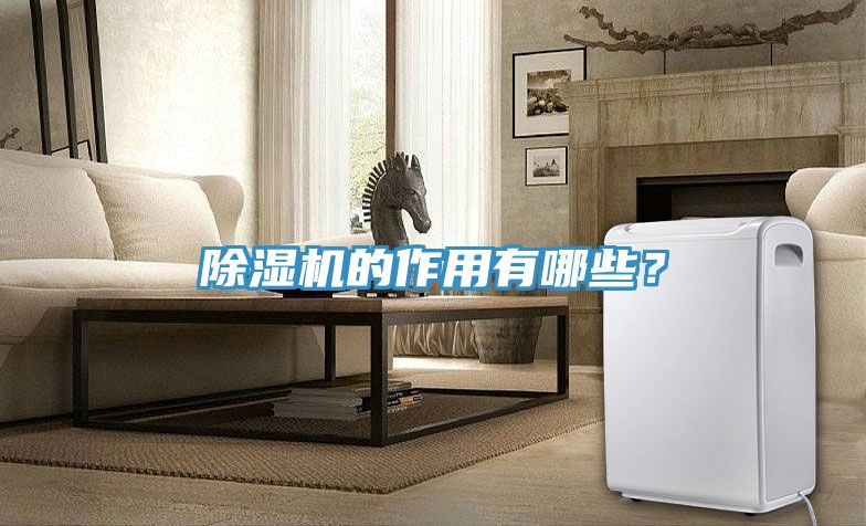 除濕機的作用有哪些？