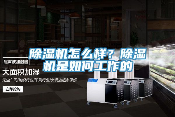 除濕機(jī)怎么樣？除濕機(jī)是如何工作的