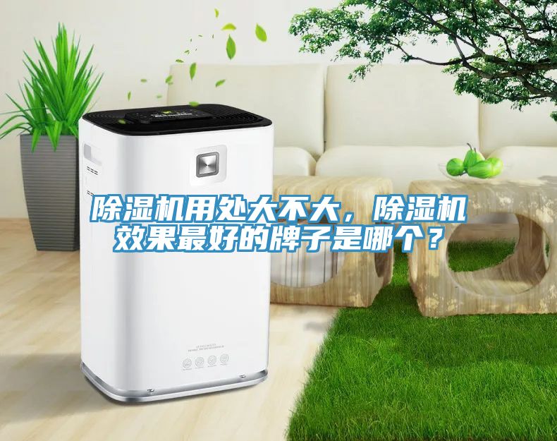除濕機用處大不大，除濕機效果最好的牌子是哪個？