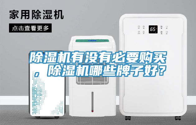 除濕機(jī)有沒(méi)有必要購(gòu)買(mǎi)，除濕機(jī)哪些牌子好？