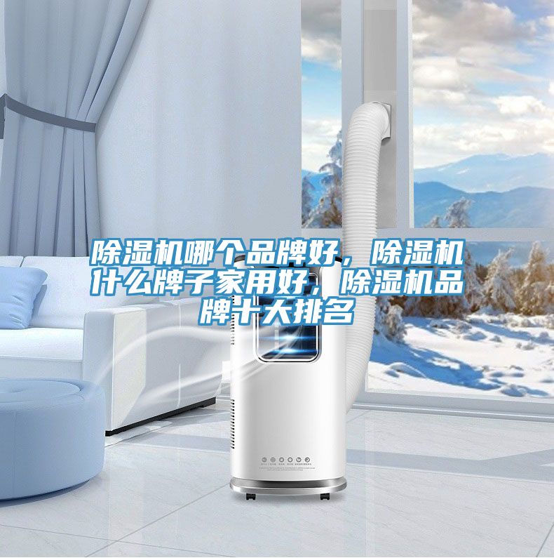 除濕機(jī)哪個(gè)品牌好，除濕機(jī)什么牌子家用好，除濕機(jī)品牌十大排名