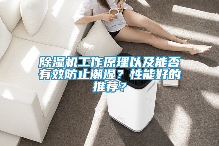 除濕機(jī)工作原理以及能否有效防止潮濕？性能好的推薦？