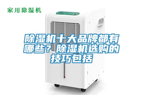 除濕機(jī)十大品牌都有哪些？除濕機(jī)選購的技巧包括