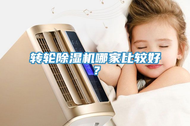 轉(zhuǎn)輪除濕機哪家比較好？