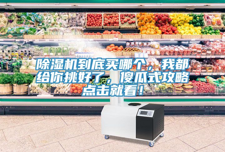 除濕機到底買哪個，我都給你挑好了，傻瓜式攻略點擊就看！