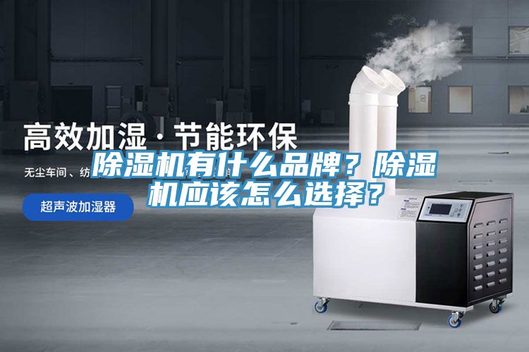 除濕機有什么品牌？除濕機應該怎么選擇？