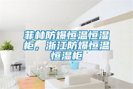 菲林防爆恒溫恒濕柜，浙江防爆恒溫恒濕柜