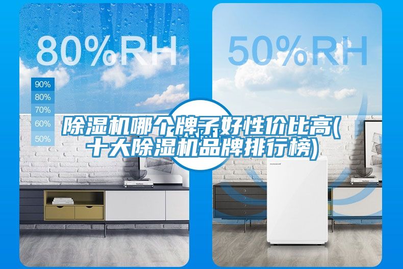 除濕機(jī)哪個牌子好性價比高(十大除濕機(jī)品牌排行榜)