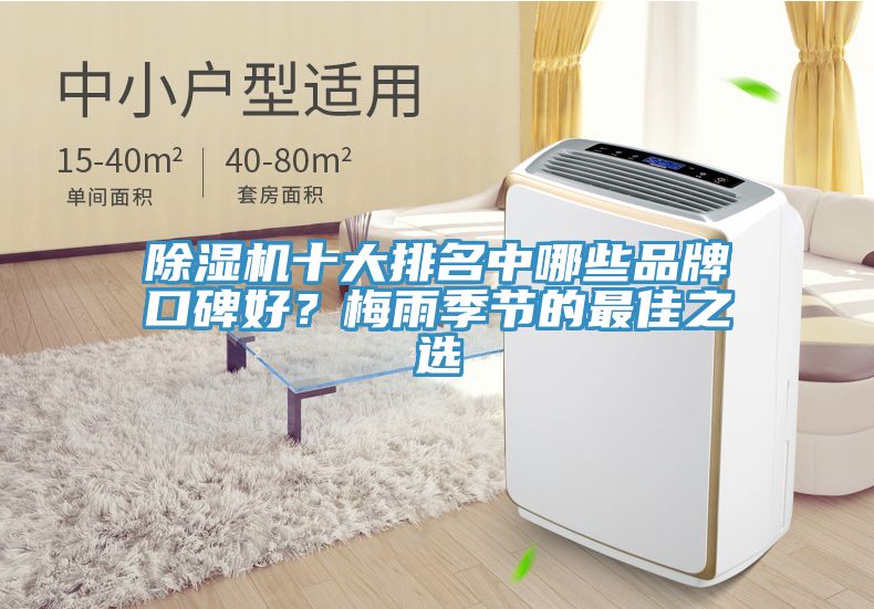 除濕機(jī)十大排名中哪些品牌口碑好？梅雨季節(jié)的最佳之選