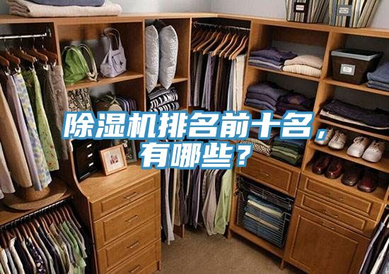 除濕機(jī)排名前十名，有哪些？