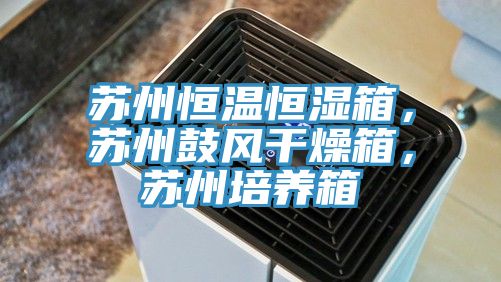 蘇州恒溫恒濕箱，蘇州鼓風(fēng)干燥箱，蘇州培養(yǎng)箱