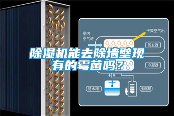 除濕機(jī)能去除墻壁現(xiàn)有的霉菌嗎？