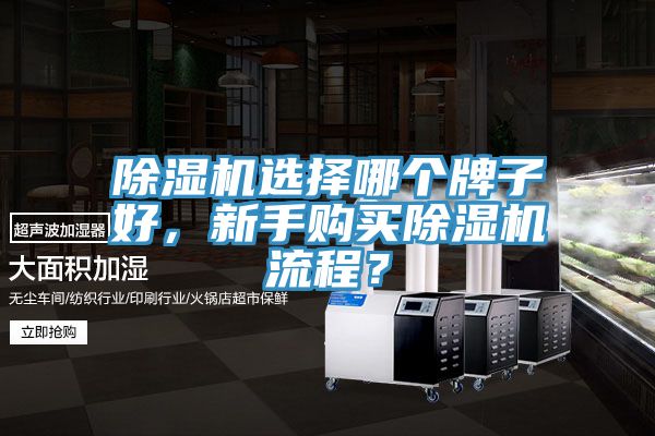 除濕機(jī)選擇哪個(gè)牌子好，新手購(gòu)買(mǎi)除濕機(jī)流程？