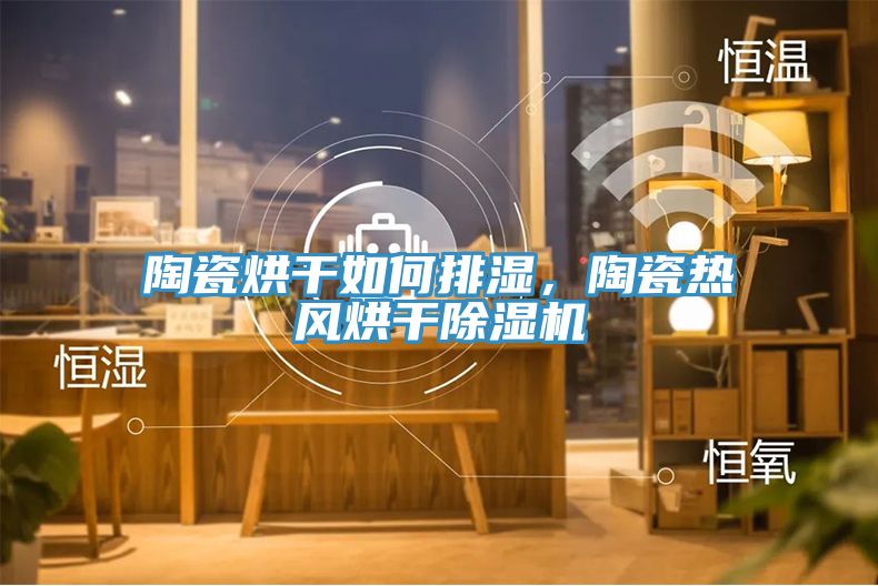陶瓷烘干如何排濕，陶瓷熱風(fēng)烘干除濕機(jī)