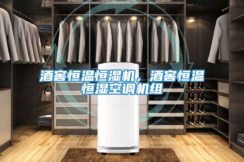 酒窖恒溫恒濕機(jī)，酒窖恒溫恒濕空調(diào)機(jī)組