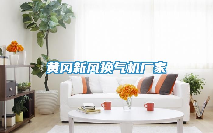 黃岡新風(fēng)換氣機廠家