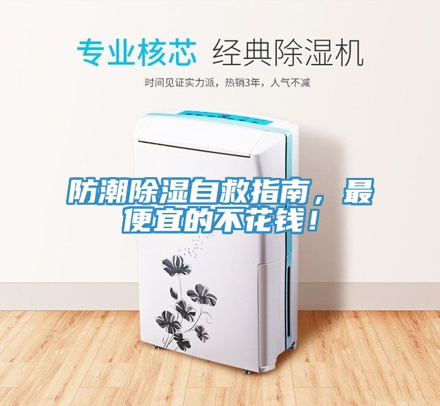 防潮除濕自救指南，最便宜的不花錢！