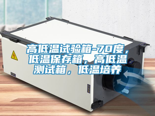 高低溫試驗(yàn)箱-70度，低溫保存箱，高低溫測(cè)試箱，低溫培養(yǎng)