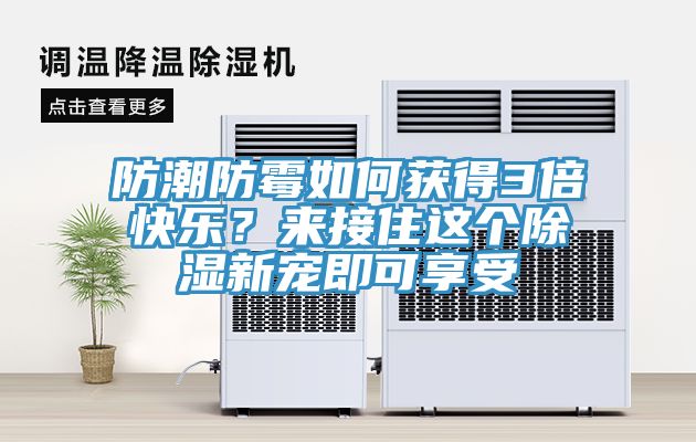 防潮防霉如何獲得3倍快樂？來接住這個(gè)除濕新寵即可享受