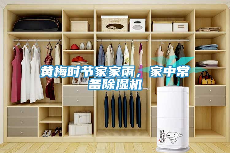 黃梅時(shí)節(jié)家家雨，家中常備除濕機(jī)