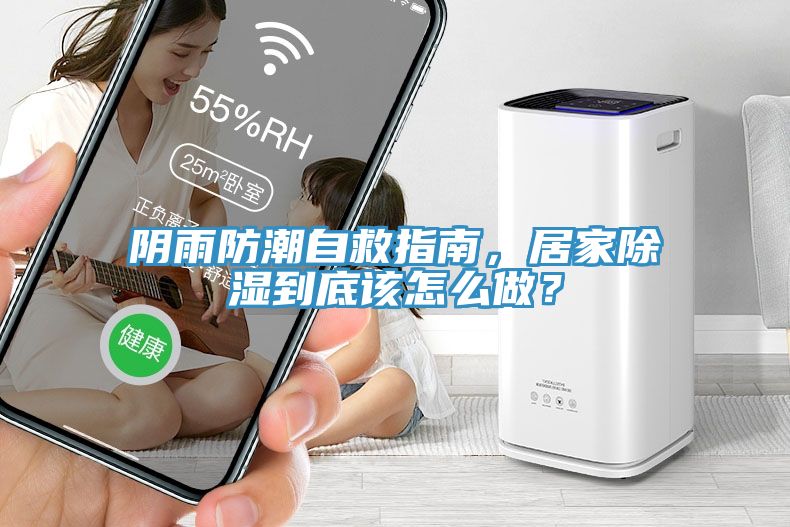 陰雨防潮自救指南，居家除濕到底該怎么做？