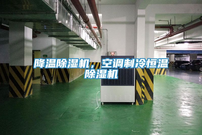 降溫除濕機(jī)，空調(diào)制冷恒溫除濕機(jī)